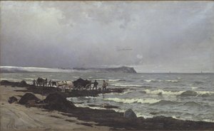 Tang wordt geladen op Hornbæk Strand