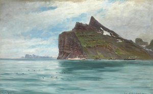 Uitzicht vanaf Kaap Noord, IJsland, van de Koninklijke Deense Reis van 1907 met het stoomschip SS Birma door Carl Locher