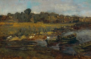 Rietlandschap bij Schwielowsee met eenden