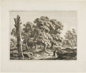 Landschap