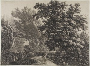 Rustieke brug in een verward bos door Carl Wilhelm Kolbe, the elder