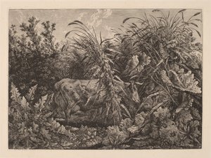 De koe in het moeras door Carl Wilhelm Kolbe, the elder