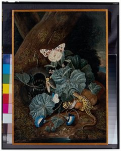 Bosbodem stilleven met slakken, slangen, hagedissen en vlinders door Carl Wilhelm de Hamilton
