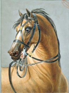 Halster voor artilleriepaarden
