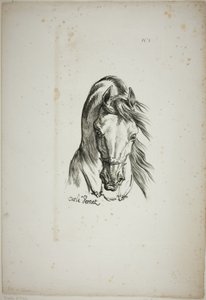 Detail van paardenhoofd, vergroot tot drievoudige grootte, Normandische Koninklijke Garde, nr. 1 door Carle Vernet