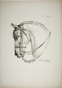 Detail van paardenhoofd, vergroot tot drievoudige grootte, Normandische Koninklijke Garde, nr. 2 door Carle Vernet