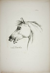 Detail van paardenhoofd, vergroot tot drievoudige grootte, Normandische Koninklijke Garde, nr. 4 door Carle Vernet