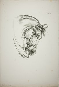 Detail van paardenhoofd, vergroot tot drievoudige grootte, Normandische Koninklijke Garde, nr. 5, Eerste Limoges Paard door Carle Vernet