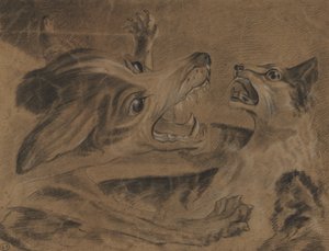 Vechtende dieren