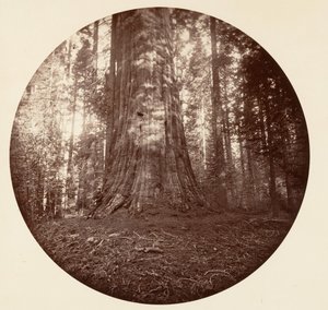 Empire State door Carleton Emmons Watkins