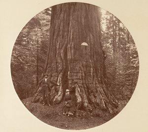 Het Empire State door Carleton Emmons Watkins