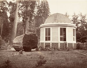 Het Huis Gebouwd over de Stronk van een Grote Boom, 1865-66, gedrukt ca. 1876 door Carleton Emmons Watkins