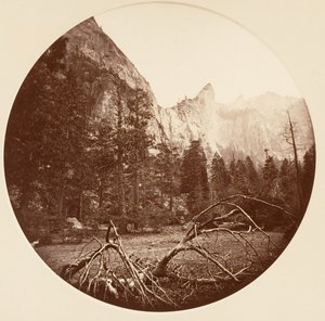 Yosemite National Park, Californië door Carleton Emmons Watkins