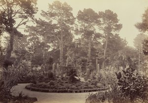  door Carleton Watkins