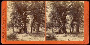 Hut in Camp Grove, Yosemite Valley, Mariposa County, Cal door Carleton Watkins