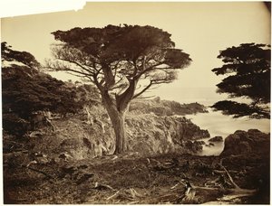  door Carleton Watkins
