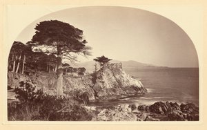 door Carleton Watkins