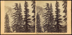 Half Dome en Vernal Fall, vanaf South Fork door Carleton Watkins