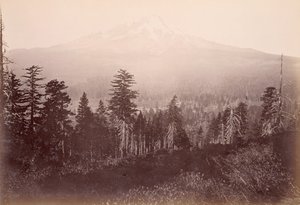  door Carleton Watkins