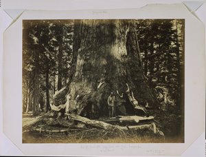  door Carleton Watkins