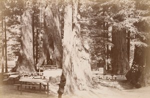  door Carleton Watkins
