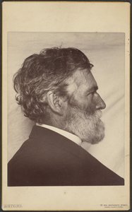 Portret van George Davidson door Carleton Watkins