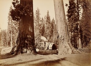  door Carleton Watkins