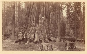  door Carleton Watkins
