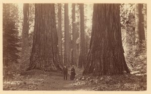  door Carleton Watkins