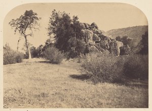 [Torenrots - Noordelijk Uitzicht]. door Carleton Watkins