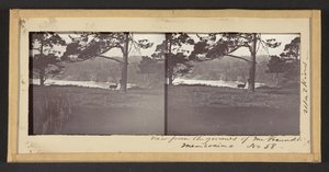 Uitzicht vanaf het Landgoed van de Heer Freundt, Mendocino door Carleton Watkins