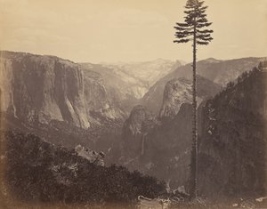 Yosemite Valley vanuit het beste algemene uitzicht door Carleton Watkins