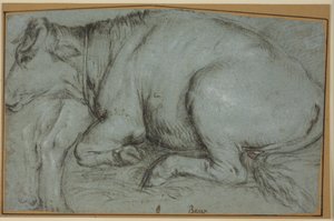 Liggende koe en studie voor de achterpoten van een staande koe