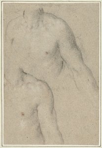Twee studies van de torso van een jongeman door Carlo Caliari