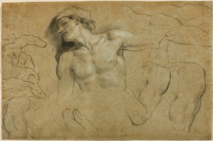 Studies van handen, schouders en een been door Carlo Cignani