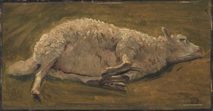 Studie van een liggend schaap