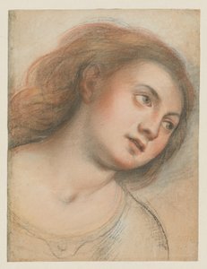 Studie voor vrouwelijk hoofd (verso); Hoofd van Christus (recto)