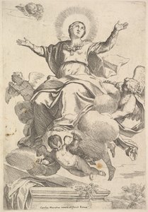 De Tenhemelopneming van de Maagd