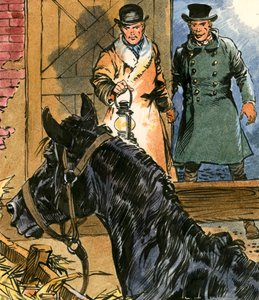 Zwarte Schoonheid