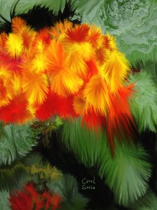 Bloemenfantasie #1 door Carol Sousa Cuello