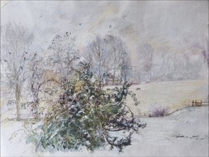 Winter vanuit ons raam, 2009 door Caroline Hervey Bathurst