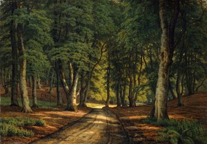 Een bebost landschap met herten