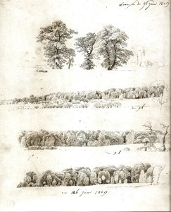 Boomstudies 1809 door Caspar David Friedrich