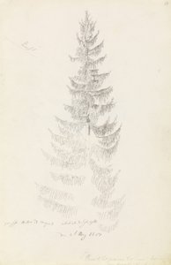 Spar door Caspar David Friedrich