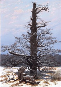 Duits: Eichbaum im Schnee De eikenboom in de sneeuw door Caspar David Friedrich