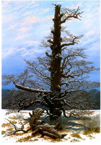Duits: Eichbaum im Schnee De eikenboom in de sneeuw door Caspar David Friedrich