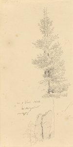 Duits: Studie mit Fichten und Felsen Studie van sparren en een rots door Caspar David Friedrich