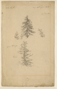 German: Zwei Tannenstudien Two studies of fir trees door Caspar David Friedrich