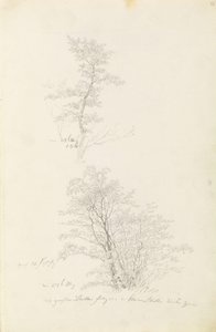 Groep jonge bomen door Caspar David Friedrich