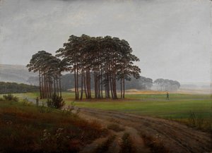 Momenten van de dag: De middag door Caspar David Friedrich